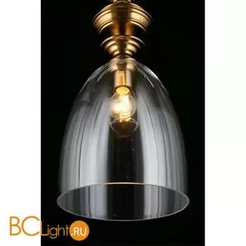 Подвесной светильник Aployt Rena APL.602.16.01 - Фото 5