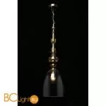 Подвесной светильник Aployt Rena APL.602.16.01 - Фото 6