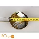 Подвесной светильник Aployt Rena APL.602.16.01 - Фото 10