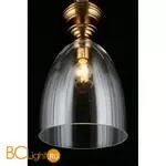 Подвесной светильник Aployt Rena APL.602.16.01 - Фото 5