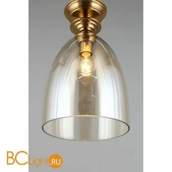 Подвесной светильник Aployt Rena APL.602.06.01 - Фото 1