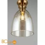 Подвесной светильник Aployt Rena APL.602.06.01 - Фото 1