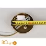 Подвесной светильник Aployt Rena APL.602.06.01 - Фото 8