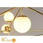 Люстра Aployt Rozali APL.606.07.10 - Фото 7