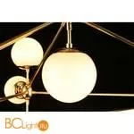 Люстра Aployt Rozali APL.606.07.10 - Фото 14