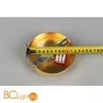 Люстра Aployt Rozali APL.606.07.10 - Фото 16