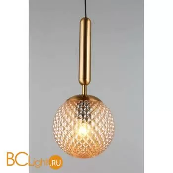 Подвесной светильник Aployt Shantal APL.766.06.01 - Фото 3