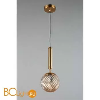 Подвесной светильник Aployt Shantal APL.766.06.01 - Фото 2