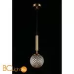 Подвесной светильник Aployt Shantal APL.766.06.01 - Фото 5