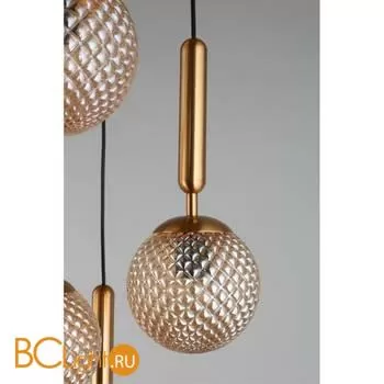 Подвесной светильник Aployt Shantal APL.766.03.06 - Фото 6