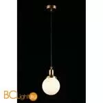 Подвесной светильник Aployt Sofi APL.302.06.01 - Фото 4