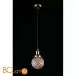 Подвесной светильник Aployt Sofi APL.302.16.01 - Фото 5