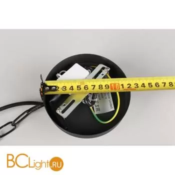 Люстра Aployt Stefani APL.901.03.10 - Фото 17