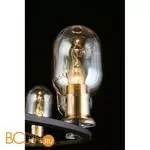 Люстра Aployt Stefani APL.901.03.10 - Фото 14