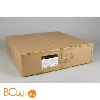 Потолочный светильник Aployt Tatin APL.835.17.13 - Фото 10