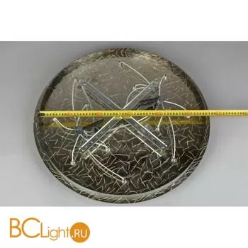 Потолочный светильник Aployt Tatin APL.835.07.13 - Фото 14