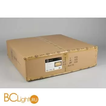 Потолочный светильник Aployt Tatin APL.835.07.13 - Фото 15