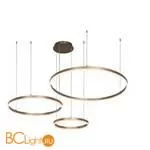 Подвесной светильник Aployt Terenia APL.024.03.136