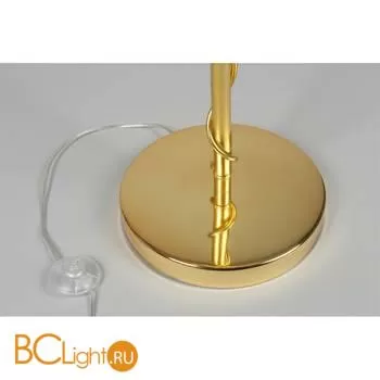 Торшер Aployt Viktorayn APL.844.05.05 - Фото 4