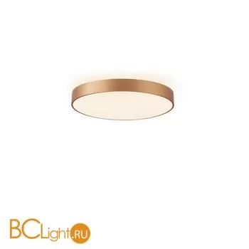 Потолочный светильник Aployt Virzhini APL.023.07.68