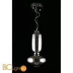 Подвесной светильник Aployt Weronka APL.011.06.20 - Фото 3