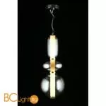 Подвесной светильник Aployt Weronka APL.011.06.30 - Фото 7