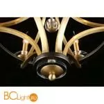 Люстра Aployt Wikta APL.805.03.06 - Фото 14