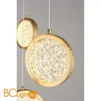 Подвесной светильник Aployt Yulali APL.048.03.102 - Фото 3