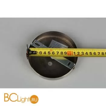 Бра Aployt Zhizel APL.608.11.02 - Фото 12