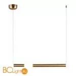 Подвесной светильник Aployt Zhozefin APL.038.16.12