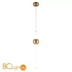 Подвесной светильник Aployt Zhozefin APL.038.06.20