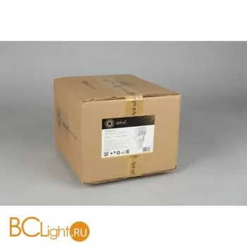 Настенный светильник Aployt Zuzanna APL.836.01.02 - Фото 14