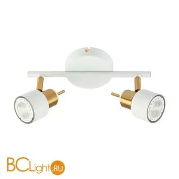 Потолочный светильник Arte Lamp Almach A1906PL-2WH