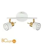 Потолочный светильник Arte Lamp Almach A1906PL-2WH