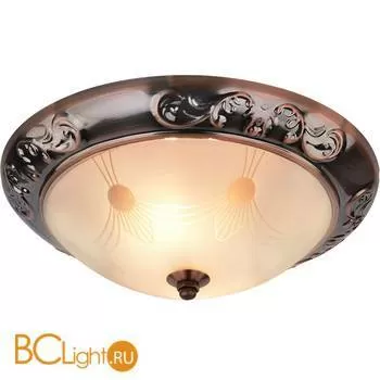 Потолочный светильник Arte Lamp Alta A3014PL-2AB