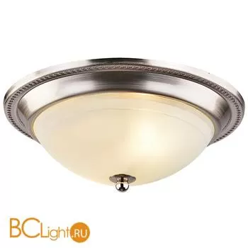 Потолочный светильник Arte Lamp Alta A3011PL-2SS