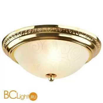 Потолочный светильник Arte Lamp Alta A3013PL-2GO