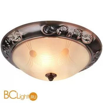 Потолочный светильник Arte Lamp Alta A3014PL-2AC