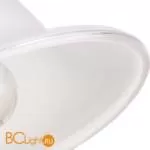 Подвесной светильник Arte Lamp Amur A1133SP-1WG - Фото 0