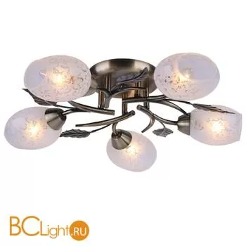 Потолочная люстра Arte Lamp Anetta A6157PL-5AB