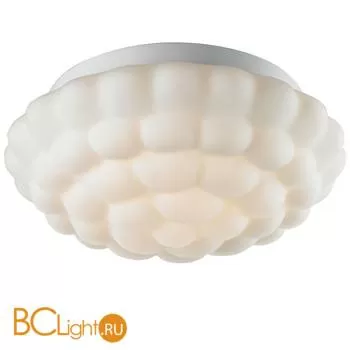 Потолочный светильник Arte Lamp Aqua A5130PL-2WH