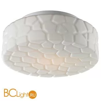 Потолочный светильник Arte Lamp Aqua A5325PL-2WH