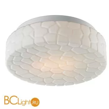 Настенно-потолочный светильник Arte Lamp Aqua A5330PL-2WH