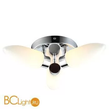 Потолочная люстра Arte Lamp Aqua A9502PL-3CC