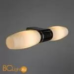 Настенный светильник Arte Lamp Aqua A1209AP-2CC