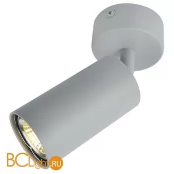 Накладной точечный светильник Arte Lamp Aquarius A3216PL-1GY