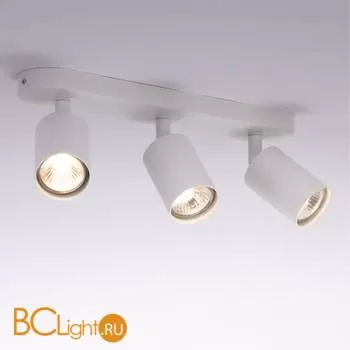 Спот Arte Lamp Aquarius A3226PL-3WH