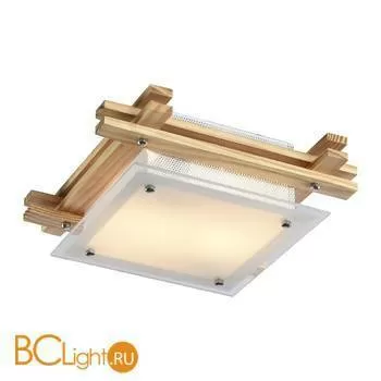 Потолочный светильник Arte Lamp Archimede A6460PL-2BR