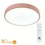 Потолочный светильник Arte Lamp Arena A2661PL-1PK