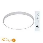 Потолочный светильник Arte Lamp Arena A2671PL-1WH